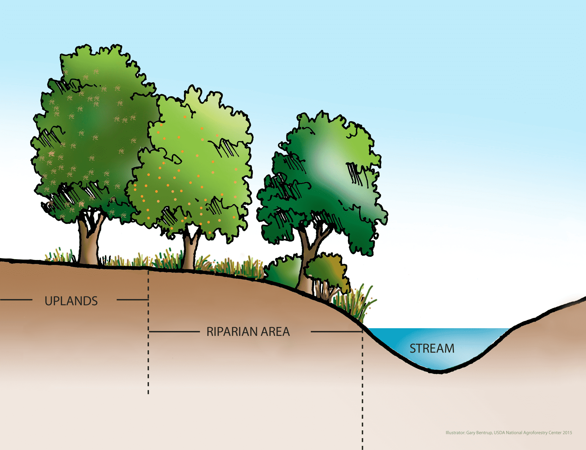 Navigating Riparian Rights for Off-Grid Living - Practical Off-Grid Living