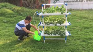 Essential Hydroponic Gardening Supplies: Building Your Off-Grid Setup