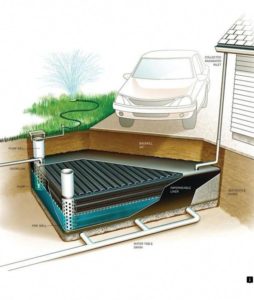 Harvesting Rainwater: A Step-by-Step Guide