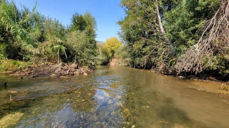Managing Creek Water Usage: Tips for Conservation and Sustainable Practices