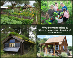 Off-Grid Cabin Construction Essentials: What You Need to Know Before You Build