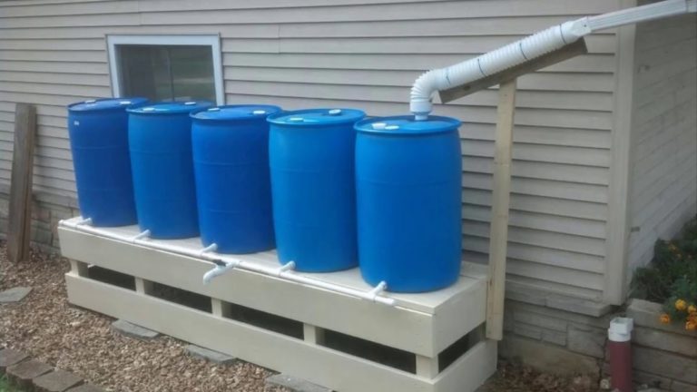 Setting Up a Rainwater Collection System