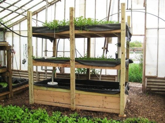 Building a DIY Wooden Aquaponic System for Year-Round Gardening