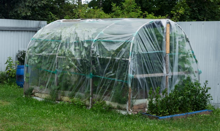 Building an Off-Grid Greenhouse: What You Need to Know Before Starting