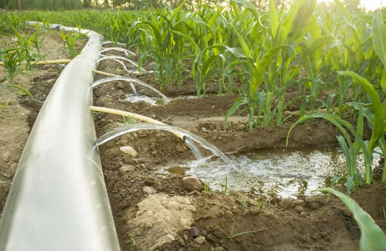 Designing an Efficient Irrigation System for Your Offgrid Desert Farm