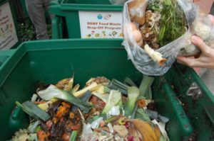 DIY Composting : Turning Kitchen Scraps into Black Gold