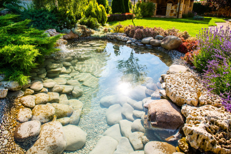 Easy Steps to Build a Self-Sustaining Pond for Your Off-Grid Property