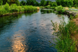 From Muddy Creek to Crystal Clear: Building a Ceramic Filter for Your Homestead's Water Needs