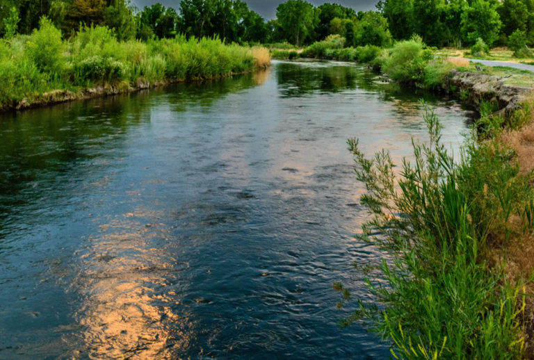 From Muddy Creek to Crystal Clear: Building a Ceramic Filter for Your Homestead's Water Needs