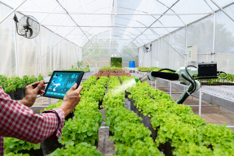 Greenhouse Automation: How Technology Can Improve Your Off-Grid Living Experience