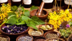 Growing Medicinal Herbs in Your Backyard Apothecary