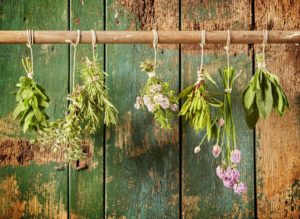 Herbs That Can Help You Sleep Better Off the Grid
