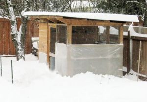 How to Build a Snow-Proof Chicken Coop for Your Cold Weather Flock