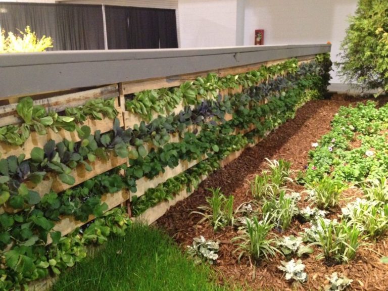 How to Build a Vertical Vegetable Garden for Maximum Yields