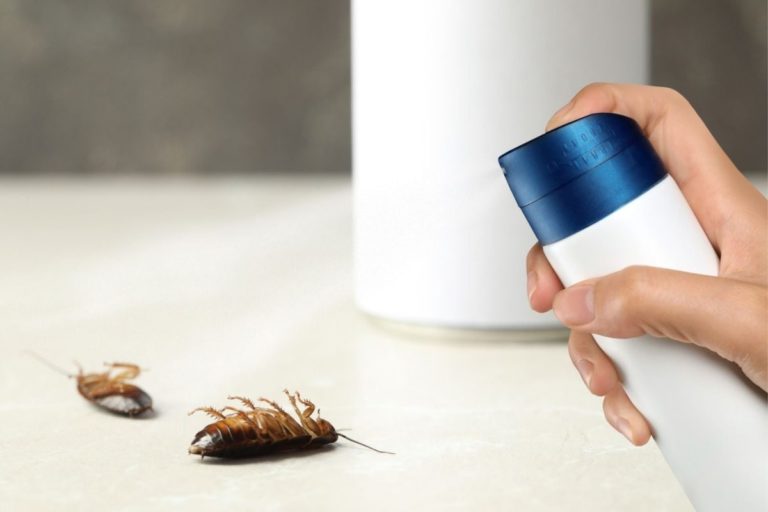 How to Create a Bug Barrier Around Your Off-Grid Home for Year-Round Protection