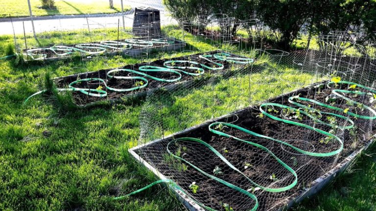How to Create a Sustainable Irrigation System Using Grey Water