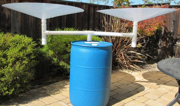 How to DIY a Rainwater Collection and Filtration System on a Budget