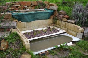 How to Incorporate Greywater into Your Off-Grid Permaculture Garden