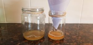 How to Make a Homemade Fly Trap for Your Off-Grid Home
