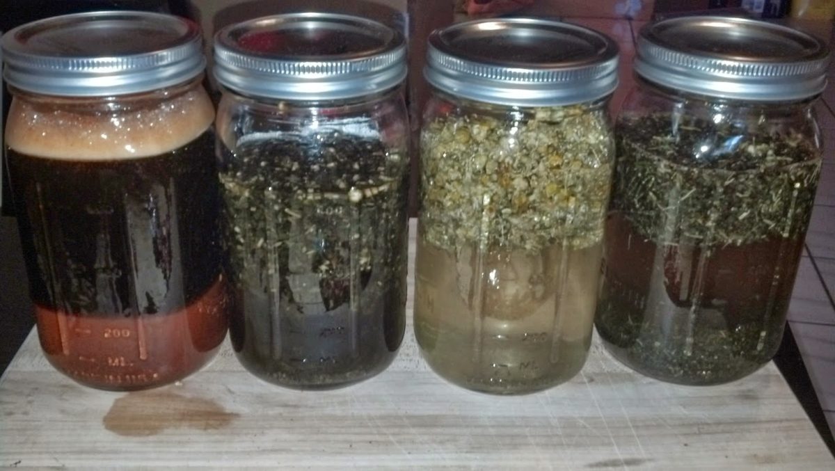 How to Make Herbal Teas and Tinctures at Home - Practical Off-Grid Living