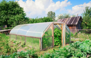 How to Select the Right Location for Your Greenhouse