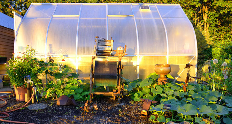 Innovative Ways to Extend Your Growing Season