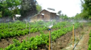 Irrigation Automation: The Benefits and Considerations for Self-Sufficient Water Management