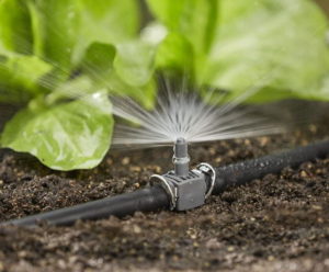 Off-Grid Irrigation for Small-Scale Farming: Tips and Techniques for Success