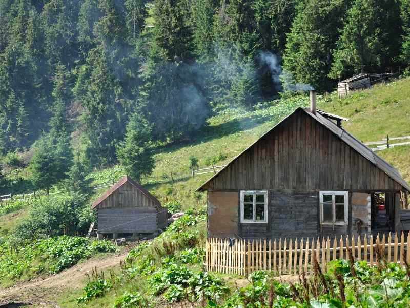 Off-Grid Permaculture for Beginners: Starting a Small-Scale Homestead with Maximum Yield