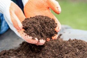 The Art of Soil Preparation: Getting Your Garden Off to a Great Start