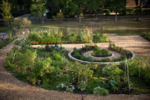 The Benefits of Biodynamic Gardening in Offgrid Desert Farms