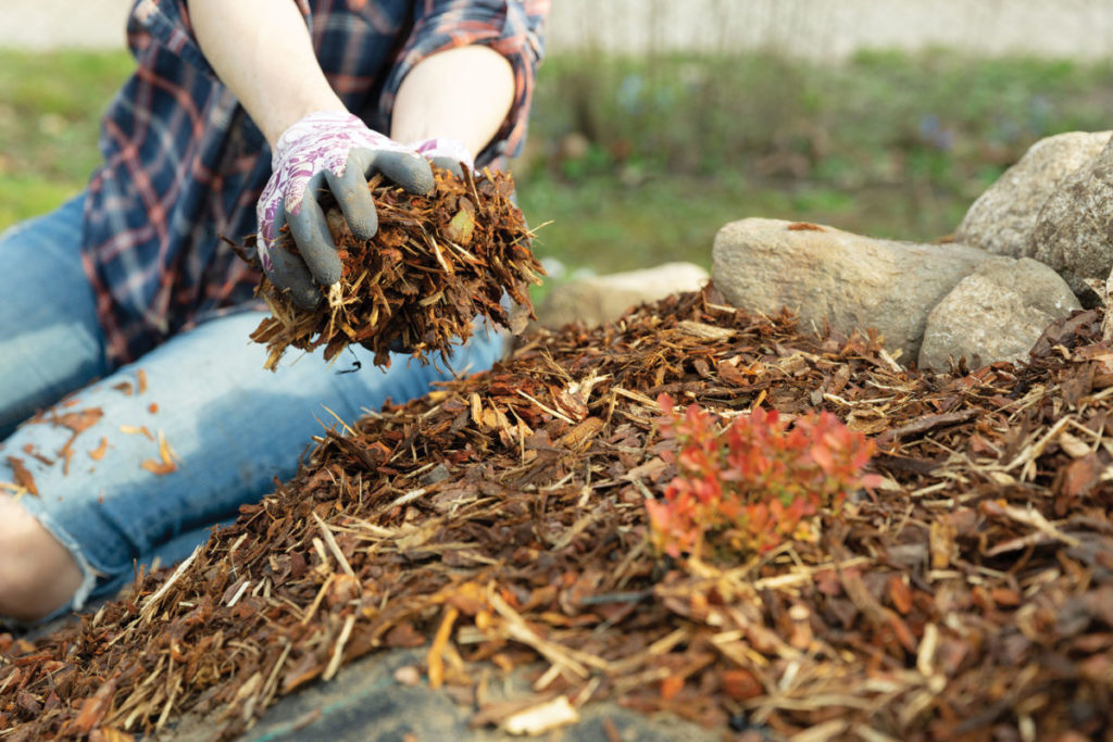 The Benefits of Mulching: Boosting Soil Health and Reducing Maintenance