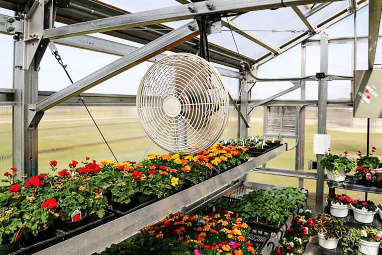 The Importance of Ventilation and Air Circulation in Your Greenhouse