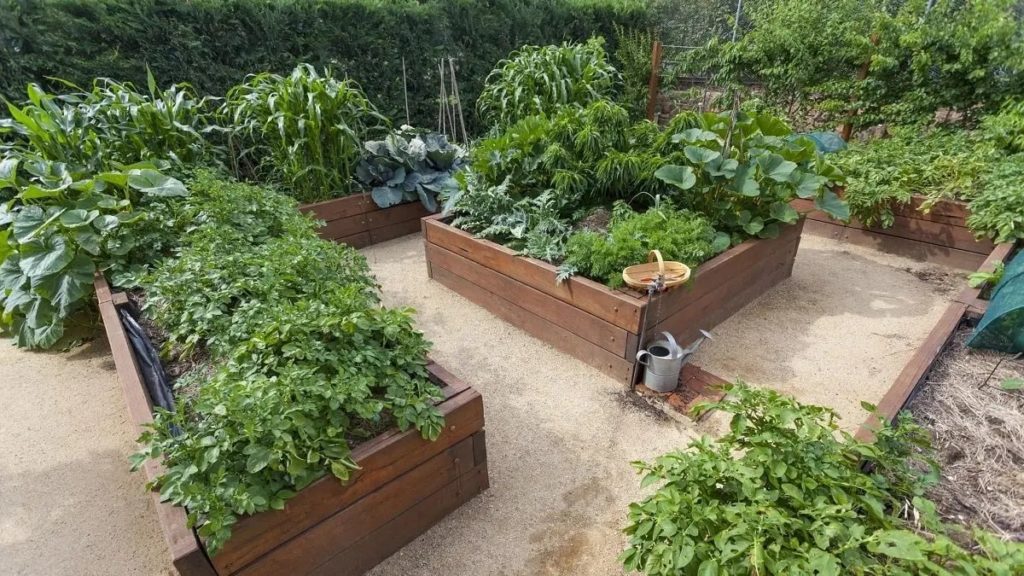 The Ultimate Guide to Building a Raised Bed Garden