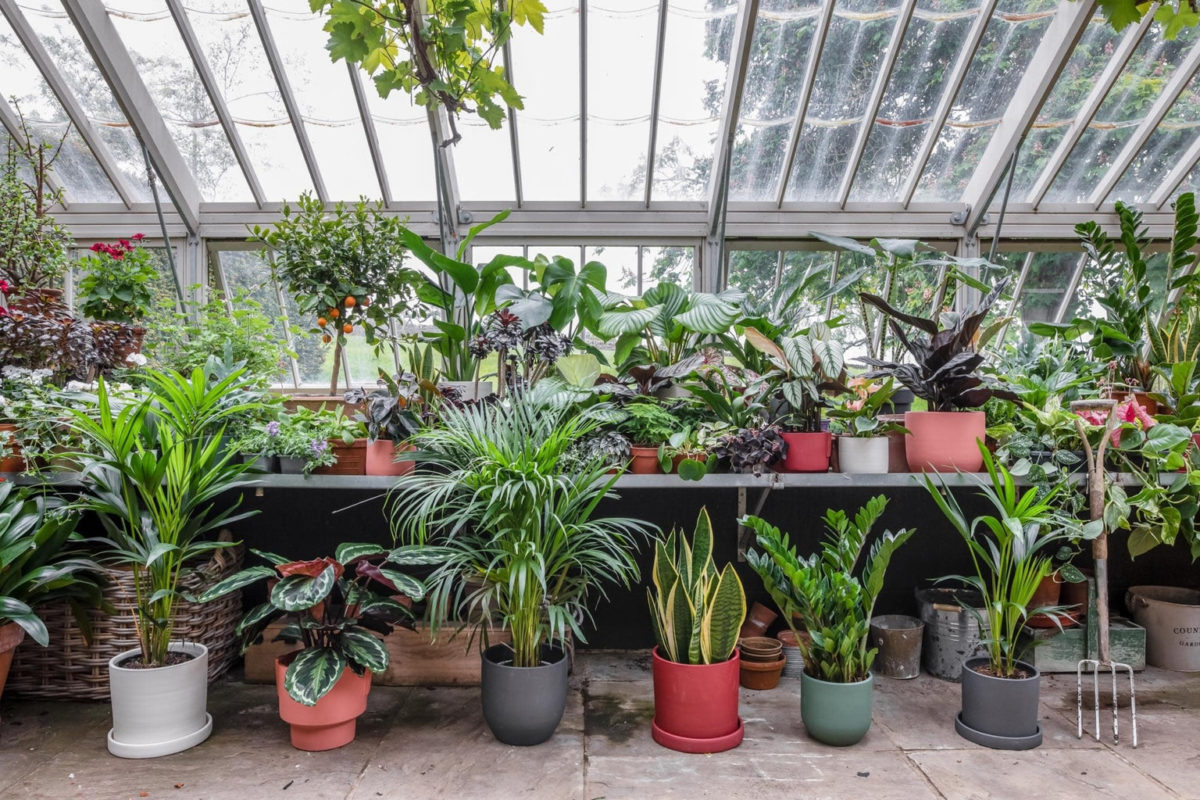Photo inspiration: Picture Idea: How To Create A Self Sustaining Greenhouse Ecosystem