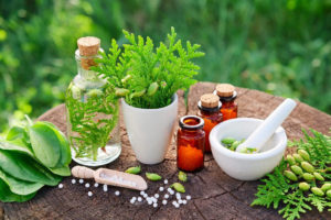 The Ultimate Guide to Growing and Using Herbs for Natural Health on the Grid.