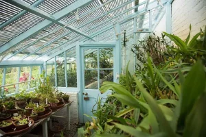 Using Passive Solar Design for Maximum Efficiency in Your Greenhouse