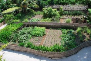 Ways to Use Permaculture Principles in Your Urban Garden