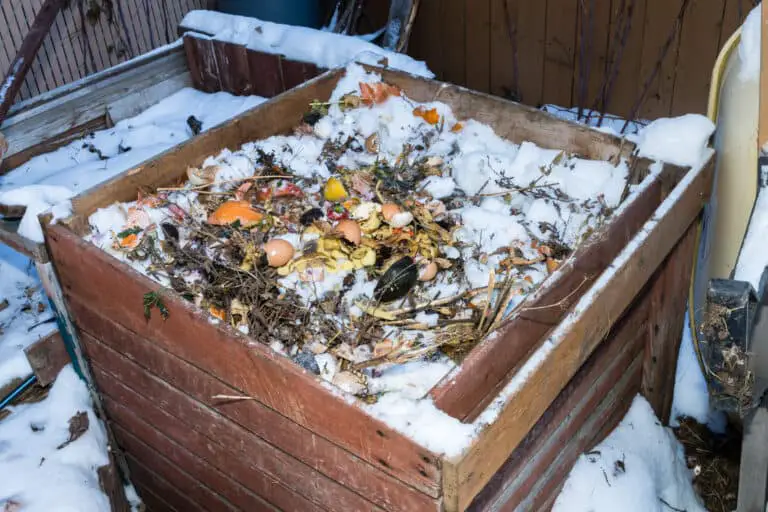 Why Your Compost Pile Must Be Covered Year Round in Cold Climates